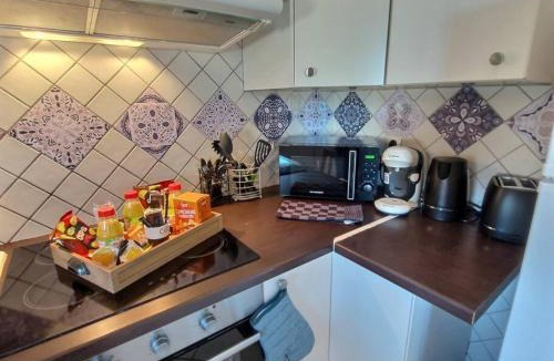 Thieux Apartment | Le Stop n'Go CDG - Airport - Astérix - Paris