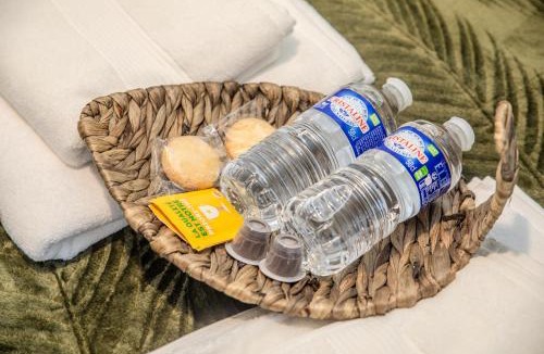 Dammartin-en-Goele Apartment | Le Tropicana proche aéroport CDG I Paris I Astérix