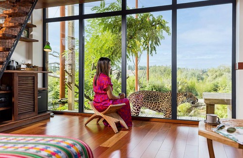Crecy-en-Brie Hotel | Les Lodges - Parrot World
