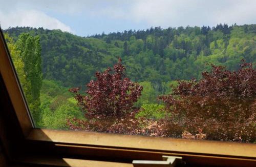 Cleebourg House | Les Petits Vignerons