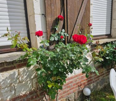 Mailly-Maillet House | Les Roses du Souvenir