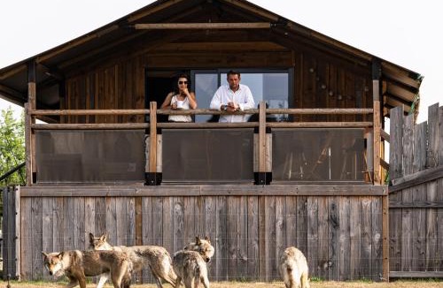 Sury-aux-Bois Cabin | Lodges insolites chez RDV en Terre Animale