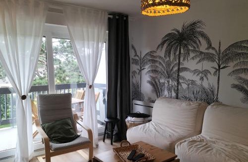 Sainte-Cecile-Plage Apartment | Lovely T2 with garden by the sea