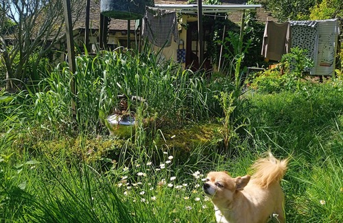 Villiers-sur-Seine Cottage | Magical Cottage with Garden