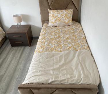 Faches-Thumesnil House | Maison 8 personnes