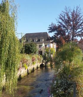 Niederbronn-les-Bains Apartment | Meublés du 25 N3 Studio 1er Etage