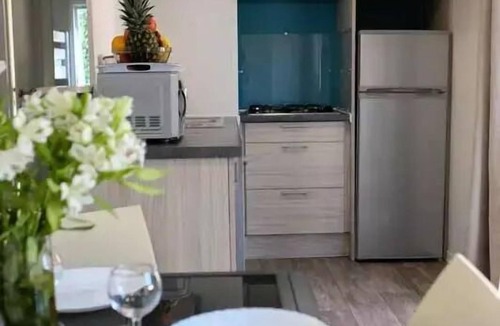 Touquin House | Mobile-home XXL Breizh 5 rooms 10 persons