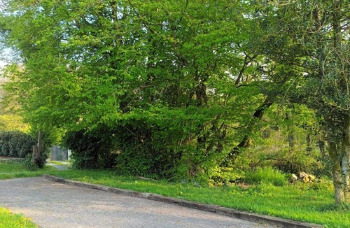 Neuville-lez-Beaulieu Apartment | Peaceful gîte in the Ardennes countryside