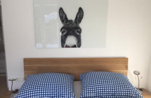 Hinterstoder Apartment | Privatwohnung am Prielerweg in Hinterstoder