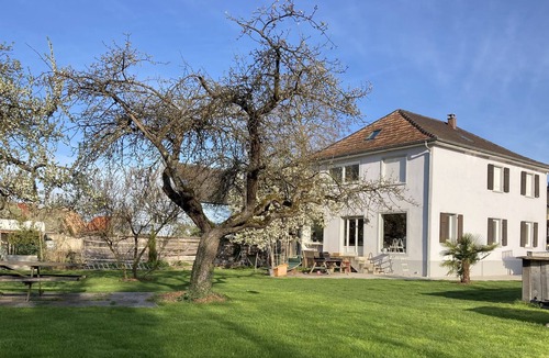 Fegersheim House | Renovated house of 200m2 15 minutes from Strasbourg