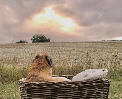 Chatillon-sur-Marne Bed & Breakfast | Roulotte panoramique du Moulin