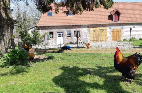 Derchigny House | Small detached house in quiet village 3 kms from the beach