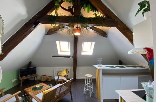 Ablis Apartment | Sous les tropiques d’Ablis
