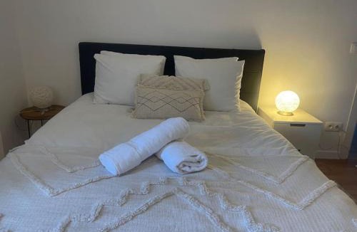 Hagondange Apartment | Spacieux appartement neuf - France