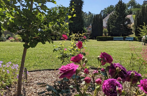 Droue-sur-Drouette Cottage | Stone studio in the grounds of "La Closerie" guest house