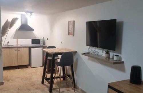 Villeneuve-le-Roi Apartment | studio 30 m2