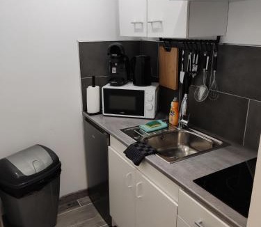 Herin Apartment | Studio Plain pied avec terrasse couverte 20m wifi et smart tv