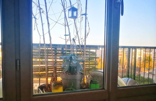 Longjumeau Bed & Breakfast | Sud Paris - Chambre/Camera/Room - business simple