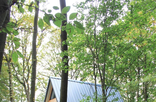 Ruminghem Apartment | The chalet of wood Ruminghem