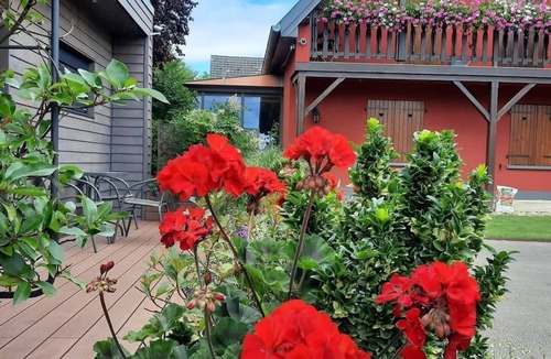 Plobsheim House | The charm of wood on the garden side