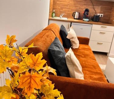 Aubervilliers Apartment | Vases d'honneur HOME proche de Paris et du stade de France