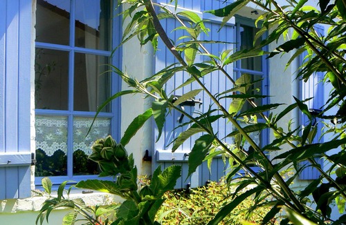 Wissant House | Wissant houses: House - House Of Fisherman.