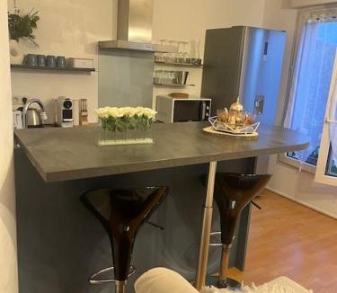 Deuil-la-Barre Apartment | WonderSuite appartement - centre ville avec parking couvert -15mn de Paris et 10 mn de Stade de France, wifi, Netflix
