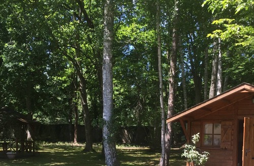Noisy-sur-Ecole Ski Chalet | Wooden chalet in the middle of a wooded park