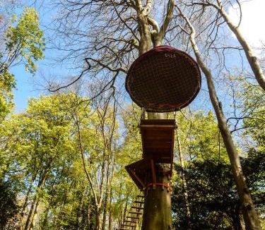 Fecamp Other | Woody Park
