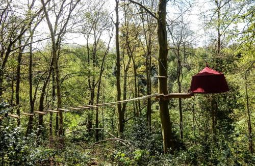 Fecamp Other | Woody Park