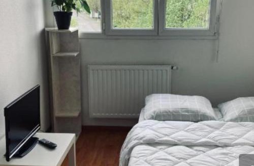 Poteries Apartment | Zénith Strasbourg 2 chambre