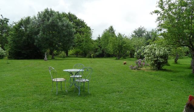 Property Image
