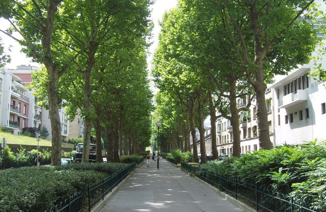 A very clear, quiet apartment in a green district of Paris