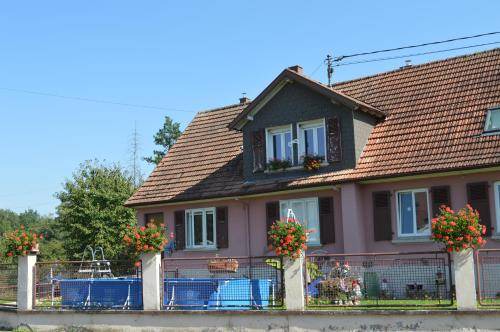 Kindwiller Bed & Breakfast | 25 m² Bed and breakfast ∙ 4 guests