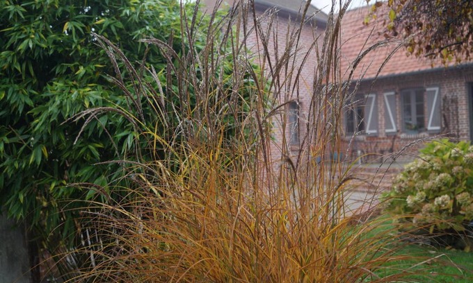 Coulomby Bed & Breakfast | 40 m² Bed and breakfast ∙ 4 guests