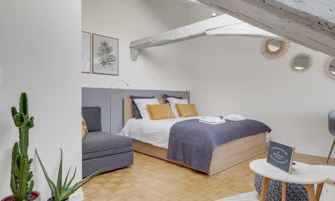 Saint-Louis Apartment | Les Mansardes du Roi - Near the Castle. Beautiful view over the rooftops.