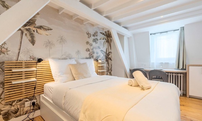 Historic Center Apartment | Lille Beaux Arts equipped apartment