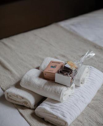 Andlau House | Nature stay in Alsace between stream and vineyard