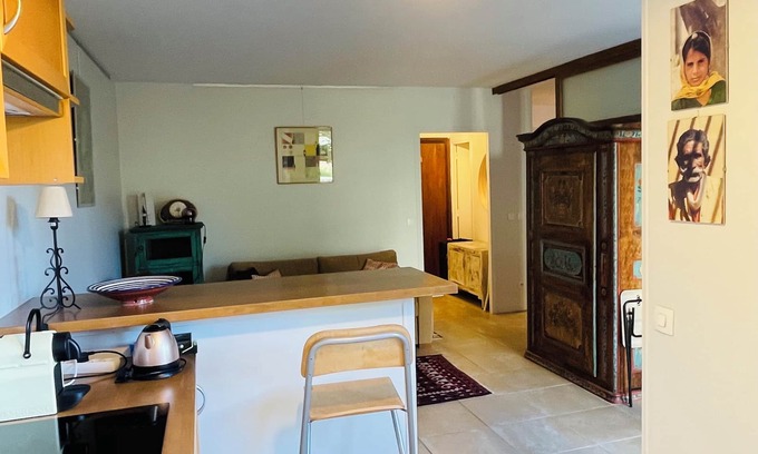 Montparnasse Apartment | Pleasant, quiet, south-facing 40 m2 apartment facing a 2000 m2 garden.