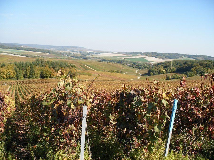 Photo of Outdoor in Epernay