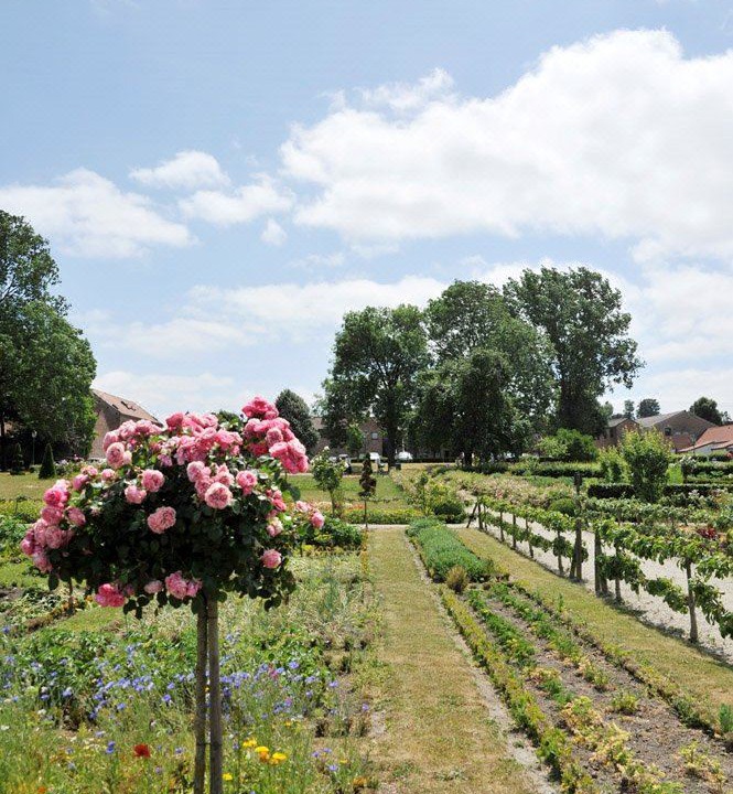 Photo of Outdoor in Gosnay