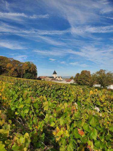 Photo of Others in Le Mesnil-sur-Oger