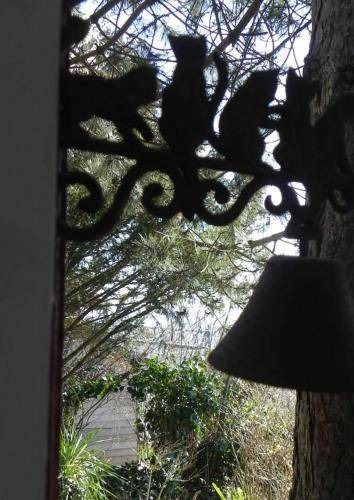 Photo of Others in Cote Ouest Ormeaux