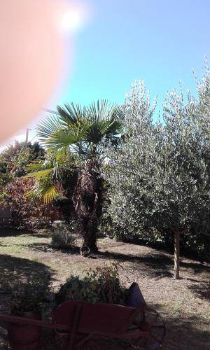 Photo of Outdoor in Herblay