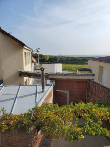 Photo of Others in Le Mesnil-sur-Oger