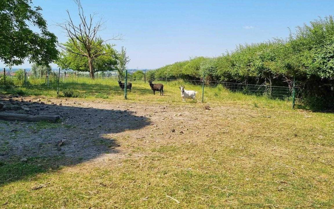 Photo of Others in Meteren