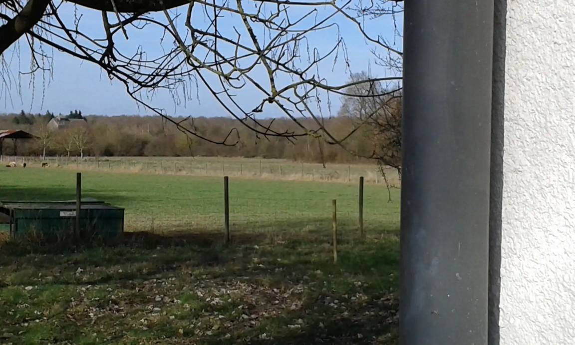 Photo of Others in Saint-Firmin-sur-Loire