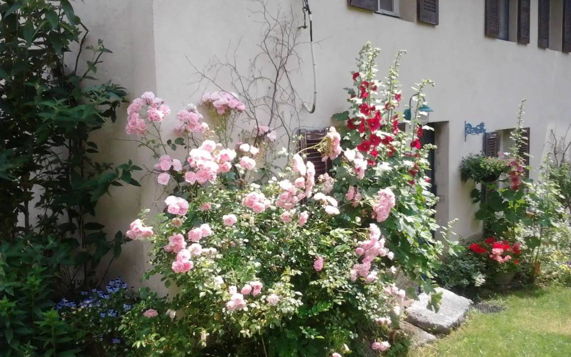 Photo of Others in Arfeuilles