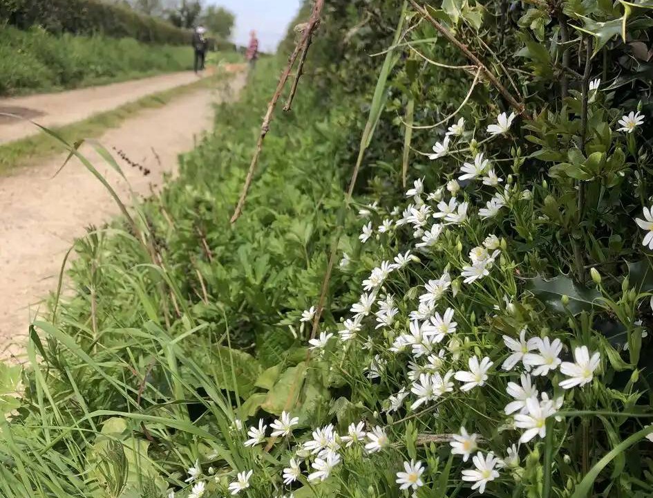 Photo of Others in Campagne-les-Boulonnais