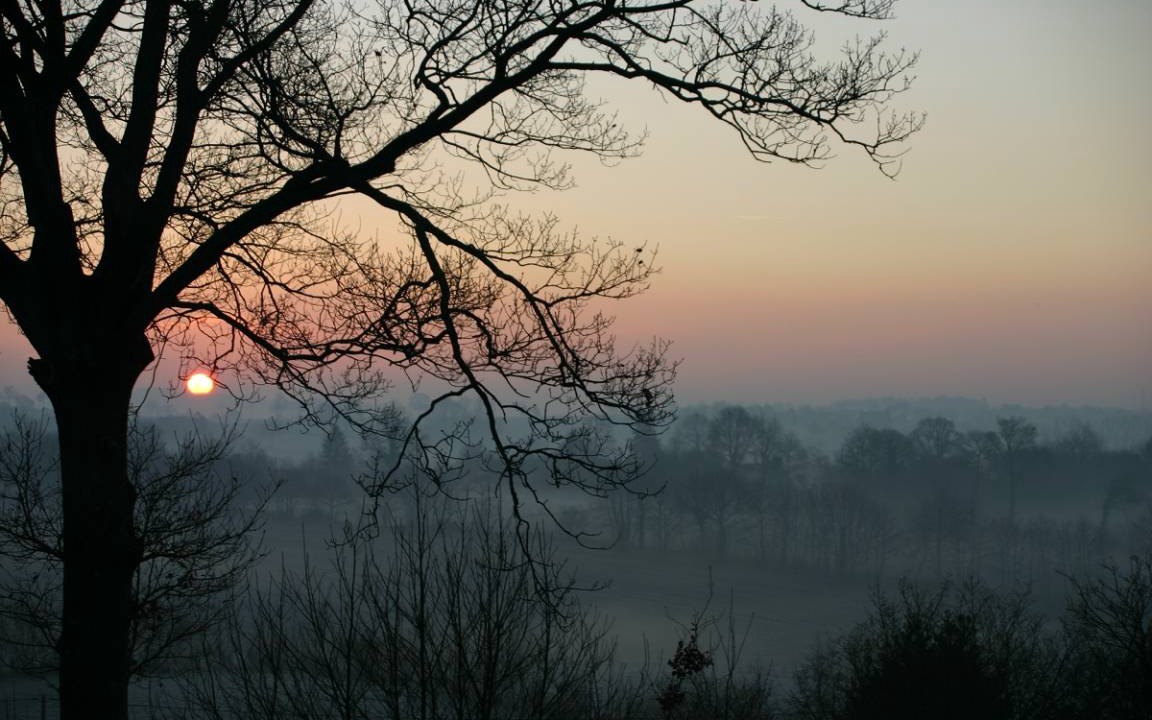 Photo of Others in Le Mesnil-Rainfray